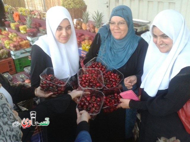  كفرقاسم: طاقم معلمي ومعلمات مدرسة جنة أبن رشد في رحلة للمعالم الاثرية في شمال البلاد 